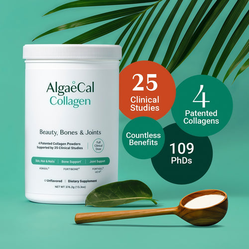 ALGAECAL Collagen Peptides Powder – Multi Collagen Peptides with VERISOL®, FORTIGEL®, UC-II®, FORTIBONE®, Hydrolyzed Collagen for Women & Men, Type 2 Collagen, 30 Servings (1 Pack)
